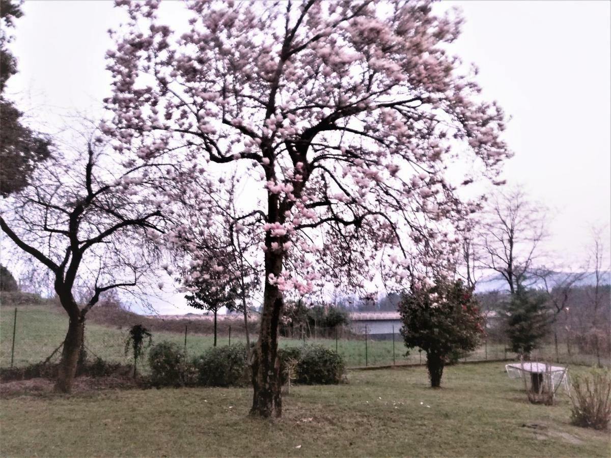 Apartament Casale Cadeloro Nebbiuno Zewnętrze zdjęcie